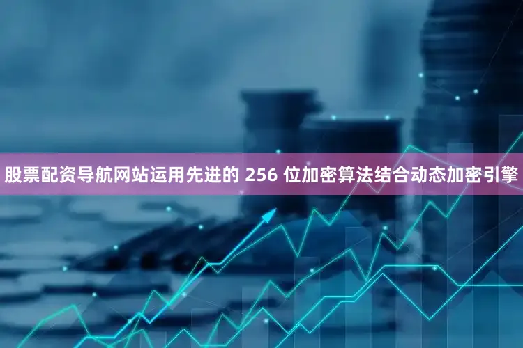 股票配资导航网站运用先进的 256 位加密算法结合动态加密引擎