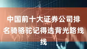 中国前十大证券公司排名骑骆驼记得选背光路线
