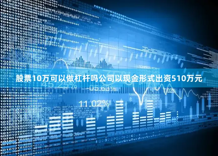 股票10万可以做杠杆吗公司以现金形式出资510万元